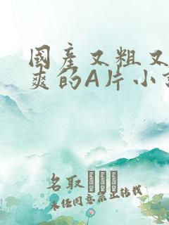 国产又粗又黄又爽的A片小说