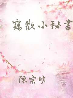 窃欢小秘书