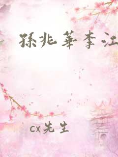 孙兆华李江小说