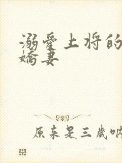 溺爱上将的宝贝娇妻