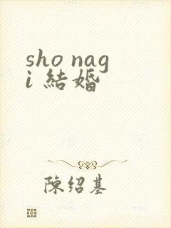 sho nagi 结婚