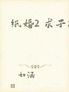 纸婚2 求子记