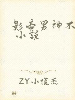 影帝男神不节制 小说