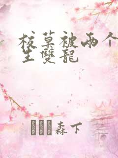 校草被两个体育生双龙