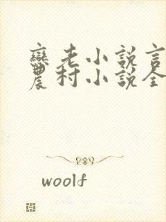 恋老小说言情网农村小说全文阅读