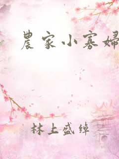 农家小寡妇