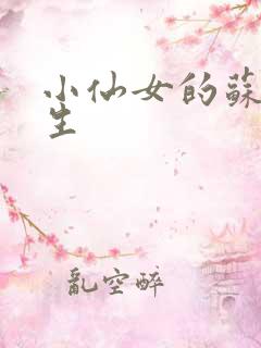 小仙女的苏撩先生