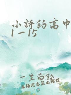 小诗的高中日记1一15