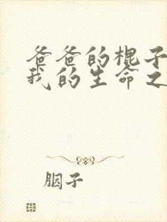 爸爸的棍子顶着我的生命之门