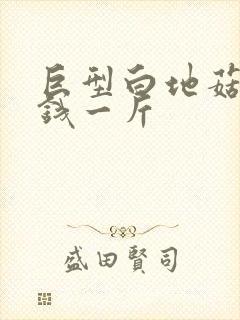 巨型白地菇多少钱一斤