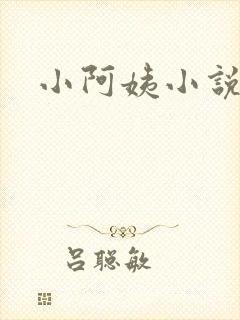 小阿姨小说