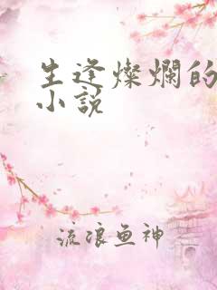 生逢灿烂的日子小说