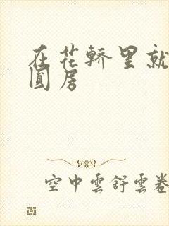 在花轿里就开始圆房