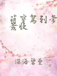 萌宝驾到爹地请签收