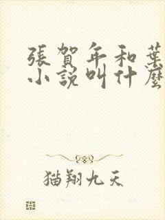 张贺年和叶繁姿小说叫什么名字