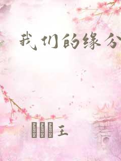 我们的缘分小说