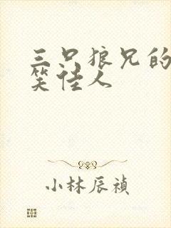 三只狼兄的宠妻笑佳人