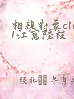 相亲对象c1v1江寓陆枝