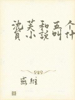 沈芙和五个消防员小说叫什么