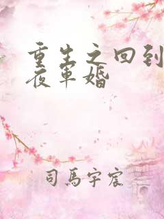 重生之回到新婚夜军婚