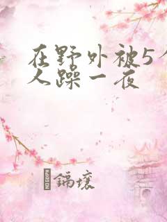 在野外被5个男人躁一夜