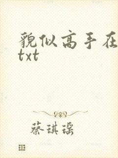貌似高手在异界txt