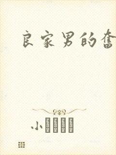 良家男的奋斗史