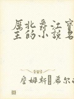 厉北爵江宝宝男主的小说名字