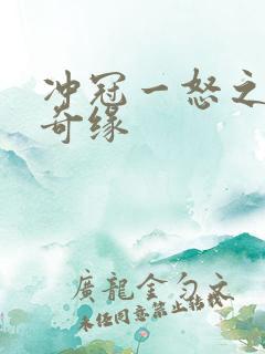 冲冠一怒之合租奇缘