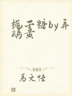 栀子糖by弄白鹅黄