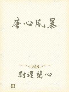 唐心风暴