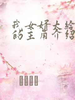 我女婿太给力了的主角介绍