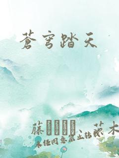 苍穹踏天