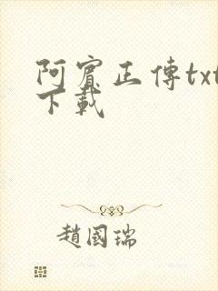 阿宾正传txt下载
