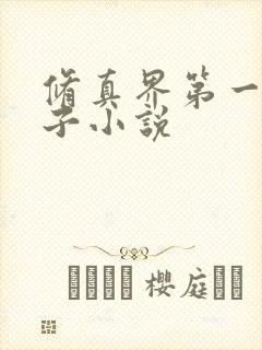 修真界第一病秧子小说