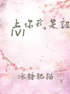 上你我是认真的1V1