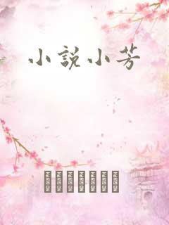小说小芳