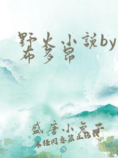 野火小说by夏布多昂