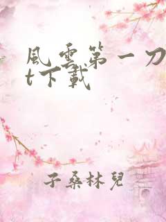 风云第一刀txt下载