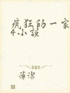 疯狂的一家ps4小说