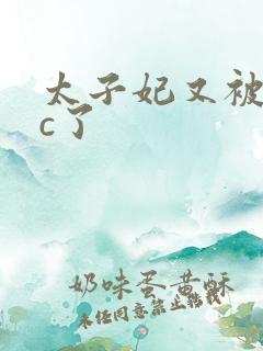 太子妃又被皇帝c了