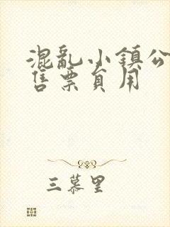 混乱小镇公交车售票员用