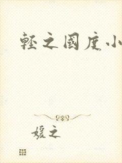 轻之国度小说
