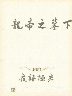 龙帝之墓下载