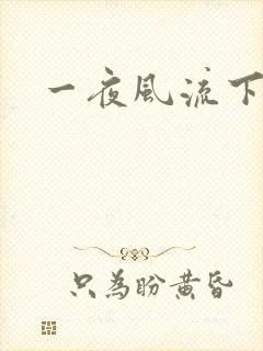 一夜风流下载