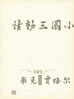 情动三国小说
