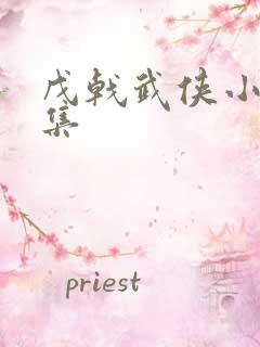 戊戟武侠小说全集