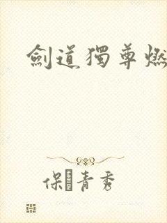 剑道独尊燃文
