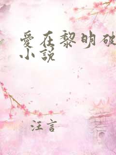 爱在黎明破晓前小说