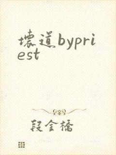 坏道bypriest